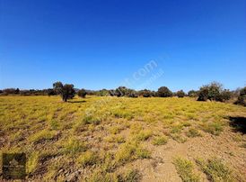 Muğla Datça Kızlan Mahallesi'nde Geleceğe Yatırım Fırsatı