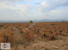 Evrenli Group'dan Satılık Müstakil Tek Tapu Bağ