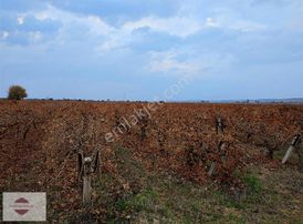 Evrenli Group'dan Satılık Müstakil Tek Tapu Bağ