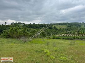 Karasu Yassıgeçit Yola Yakın Toplam 34 Dönüm 20si Fındıklık