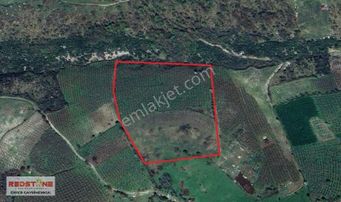 Karasu Yassıgeçit Yola Yakın Toplam 34 Dönüm 20si Fındıklık