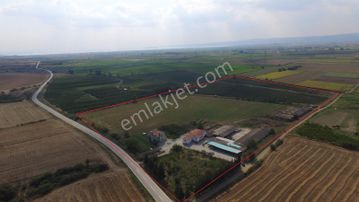 C Çanakkale Gelibolu Kavakköy'de Satılık Çiftlik