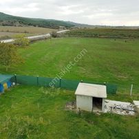 C Çanakkale Gelibolu Kavakköy'de Satılık Çiftlik