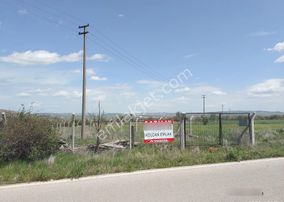 Kolçan Emlaktan Guzelyurt Hobi Bahceleri Yakını Satılık Bahçe