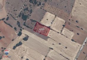 97 Manisa Kula Esenyazı Mah. Satılık Kullanışlı Tarla