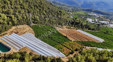07 Truva Emlaktan Finike Yalnız Da Satılık Doğa Manzaralı Tarla