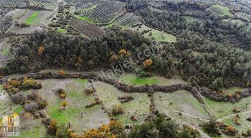 Arabacıbozköy'de Satılık Tarla