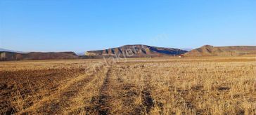 Çapakçur Emlak'tan Satılık Tarla