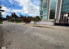 Aydın Nazilli Yeni Mahallede Kiralık 3+1 Doğalgazlı Daire