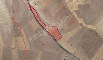 Çevril De Tek Tapu 12.000 M2 Satılık Tarla