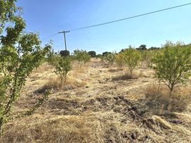 Turyap'tan Manisa Kula'da Yatırım Fırsatı 32.800 M2 Tarla