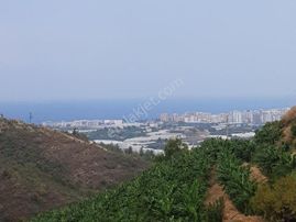 Alanya/kargıcak Mah. 553m2 Konut İmarlı Satılık Arsa