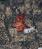 Eu Gayrimenkul'den Altınolukta İmara Sıfır 10 Dönüm Zeytinlik