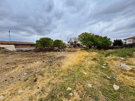 Coldwell Banker Safir'den Bindal Da 264 M² Satılık Tarla