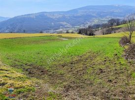 Remax Modern Yunus Emre'den Satılık Çatmaoluk'da Tarla