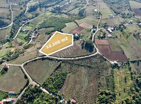 Atakum Taflan İmar Sınırında Önü Kapanmaz Emsalsiz Tarla