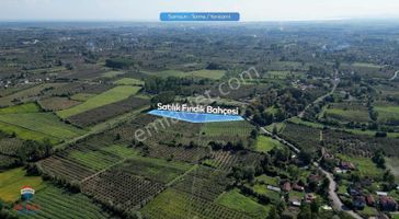 Cihan Çaylan'dan Termede Fırsat Tarla