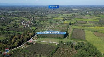 Cihan Çaylan'dan Termede Fırsat Tarla