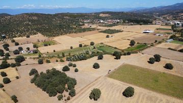 🔴aktfiten Şahinler'de Kadastrol Yolu Olan 2.881 M2 Satılık Tarla