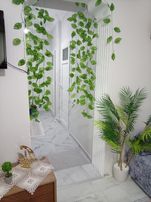 Sahibinden Eşyalı 1+1