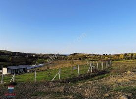 Samet'ten Taflanda 448 M2 Satılık Arsa