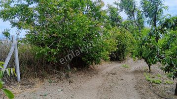 Balıkesir Edremit'de 54 Dönüm Yatırımlık Tarla