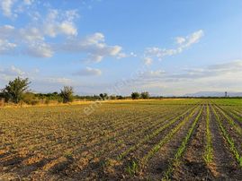 Coldwell Banker'den Akçadağ Da Tarıma Elverişli Satılık Bahçe