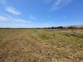 Coldwell Banker Safir'den Akçadağ Da Satılık Tarla