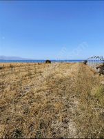 Vangölüne Sıfır Satılık 6 Dönüm Arsa