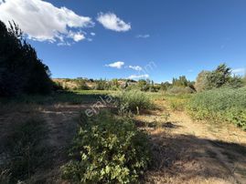 Coldwell Banker'den Duranlar Da Tarıma Elverişli Satılık Bahçe