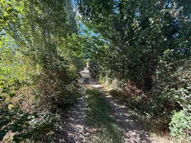 Coldwell Banker'den Duranlar Da Tarıma Elverişli Satılık Bahçe