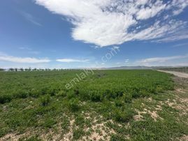 Coldwell Banker Safir'den Yazıhan Da Satılık Tarla