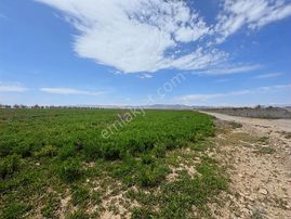 Coldwell Banker Safir'den Yazıhan Da Satılık Tarla