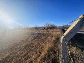 Coldwell Banker'den Malatya-kayseri Yoluna Cepheli Satılık Bahçe