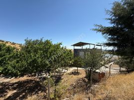 Coldwell Banker Safir'den Akçadağ Da Satılık Bahçe