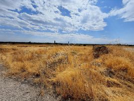 Coldwell Banker Safir'den Uğrak Da 44.154 M² Satılık Tarla