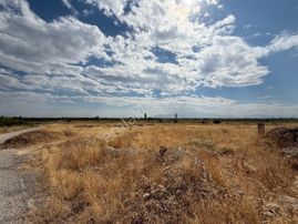 Coldwell Banker Safir'den Uğrak Da 44.154 M² Satılık Tarla