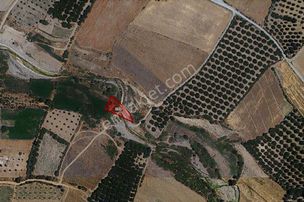 Coldwell Banker Safir'den Bulgurlu Da 900 M2 Satılık Bahçe