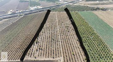 Karataş Yoluna 700 Metre/tek Tapu/42.500m2/4.500 Adet Erik+hurma