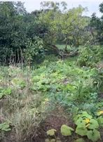 441 M² Kestel İmarlı Arsamız