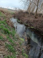 Turyaptan Ergene Paşaköyde Yatırımlık 29 Dönüm Satılık Tarla !!