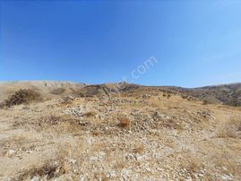 Coldwell Banker Safir'den Konak Da 4375 M² Satılık Bahçe