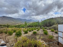 Eksper'den 1 650 M2 Tek Tapu Nar Ve Zeytin Ağaçlı Bahçe-havuzlu!