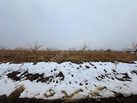 Coldwell Banker Safir'den Bulgurlu Da Satılık Kayısı Bahçesi