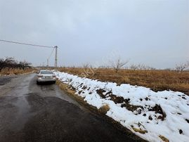 Coldwell Banker Safir'den Bulgurlu Da Satılık Kayısı Bahçesi