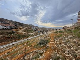 Coldwell Banker Safir'den Tecde De Villa İmarlı Satılık Arsa