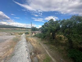 Coldwell Banker Safir'den Bulgurlu Da 9743 M² Satılık Bahçe