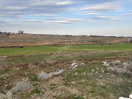 Coldwell Banker'den Kuşdoğan Mevkii'nde 20.813 M2 Satılık Tarla