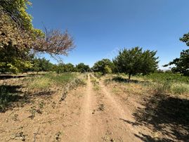 Coldwell Banker Safir'den Havalimana Komşu Satılık Tarla