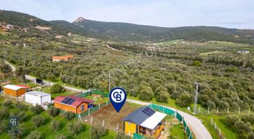 Foça Kocamehmetler'de Satılık Hisseli Tarla